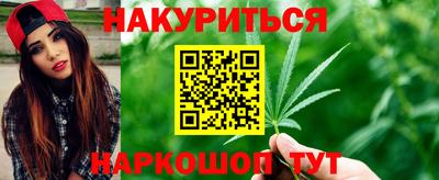 дмт Аргун