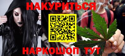 дмт Аргун