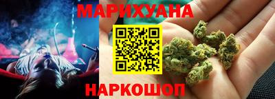 дмт Аргун