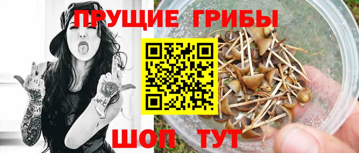 Астрахань  Псилоцибиновые грибы Magic Shrooms  Вход с VPN 